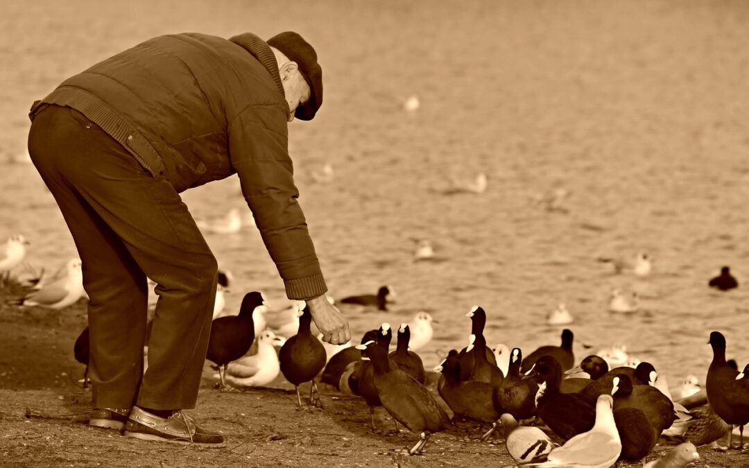 solo aging strategies